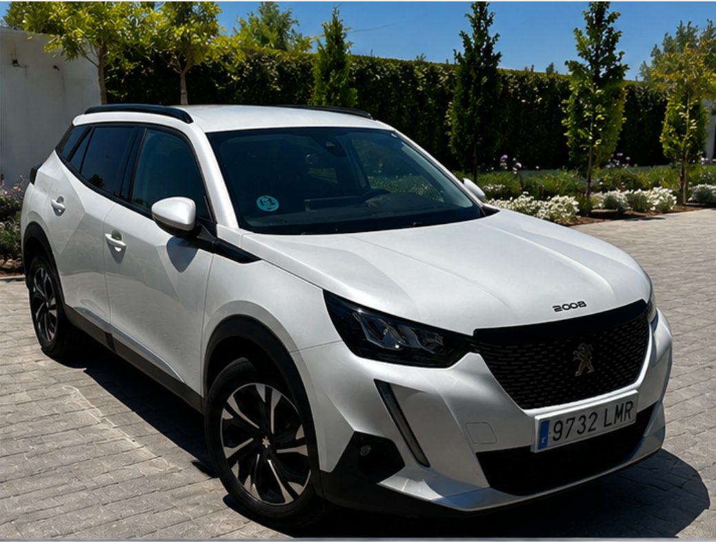 Peugeot 2008 Allure Pack de segunda mano en Málaga por 13.999 euros